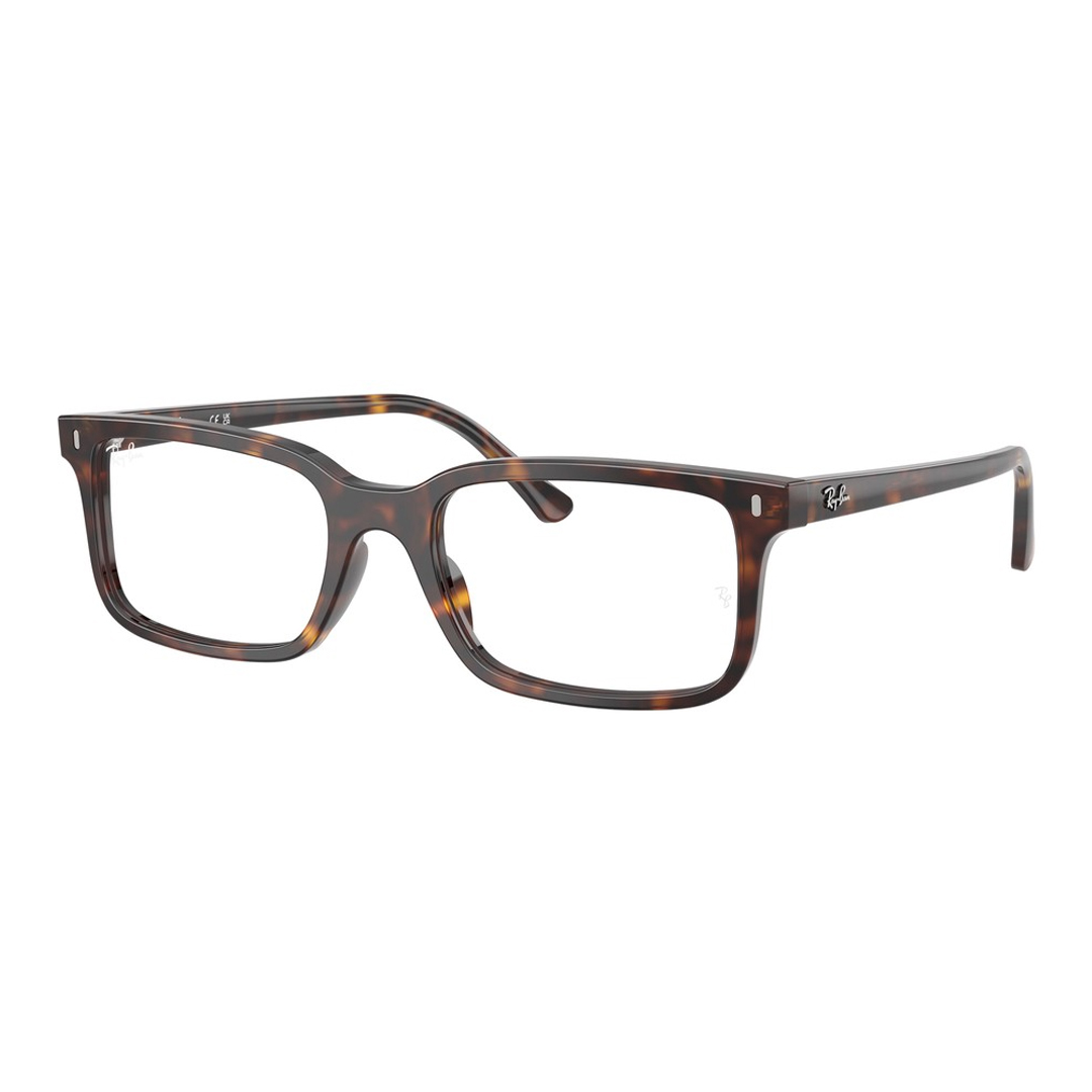 Оправы для очков Ray Ban RX5445F