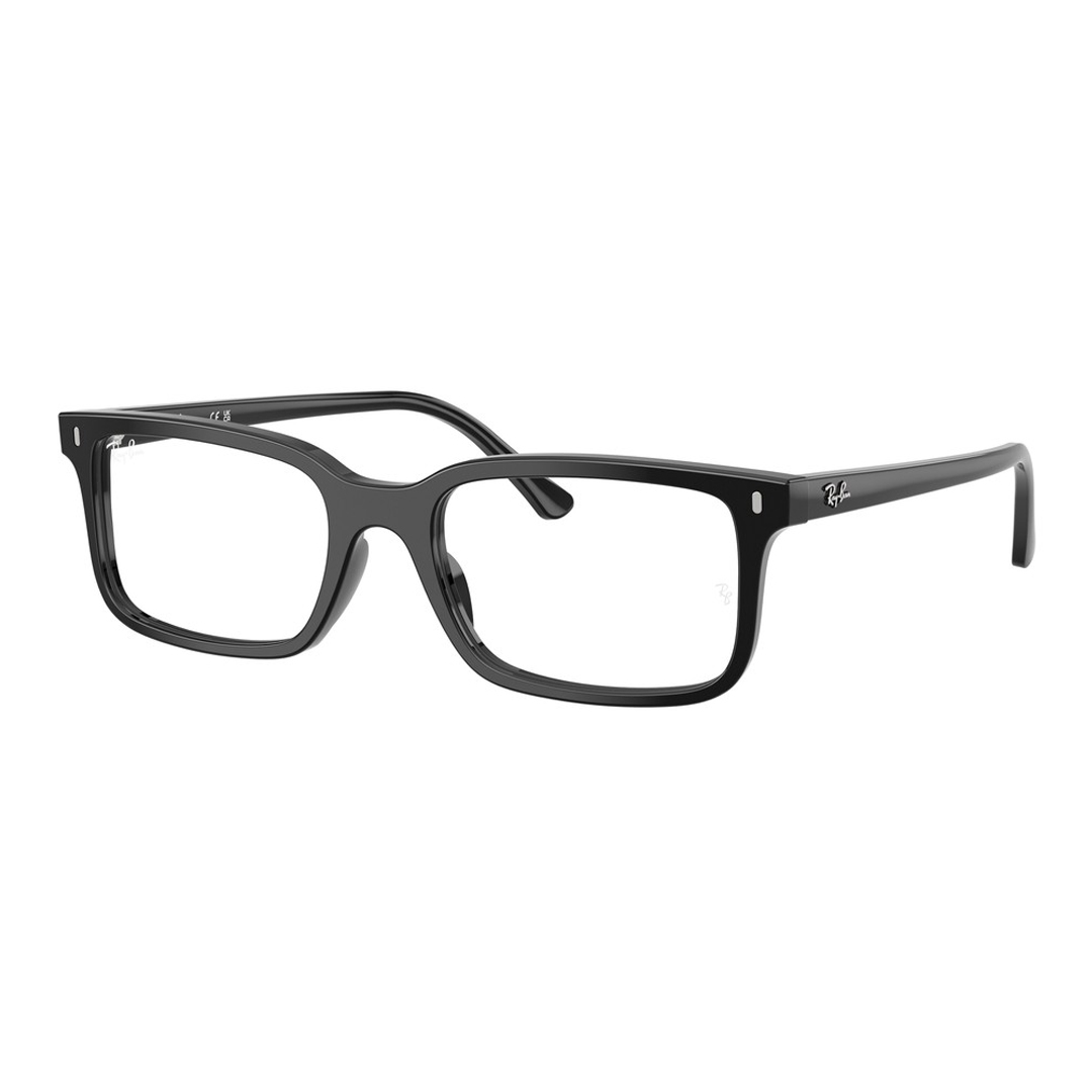 Оправы для очков Ray Ban RX5445F