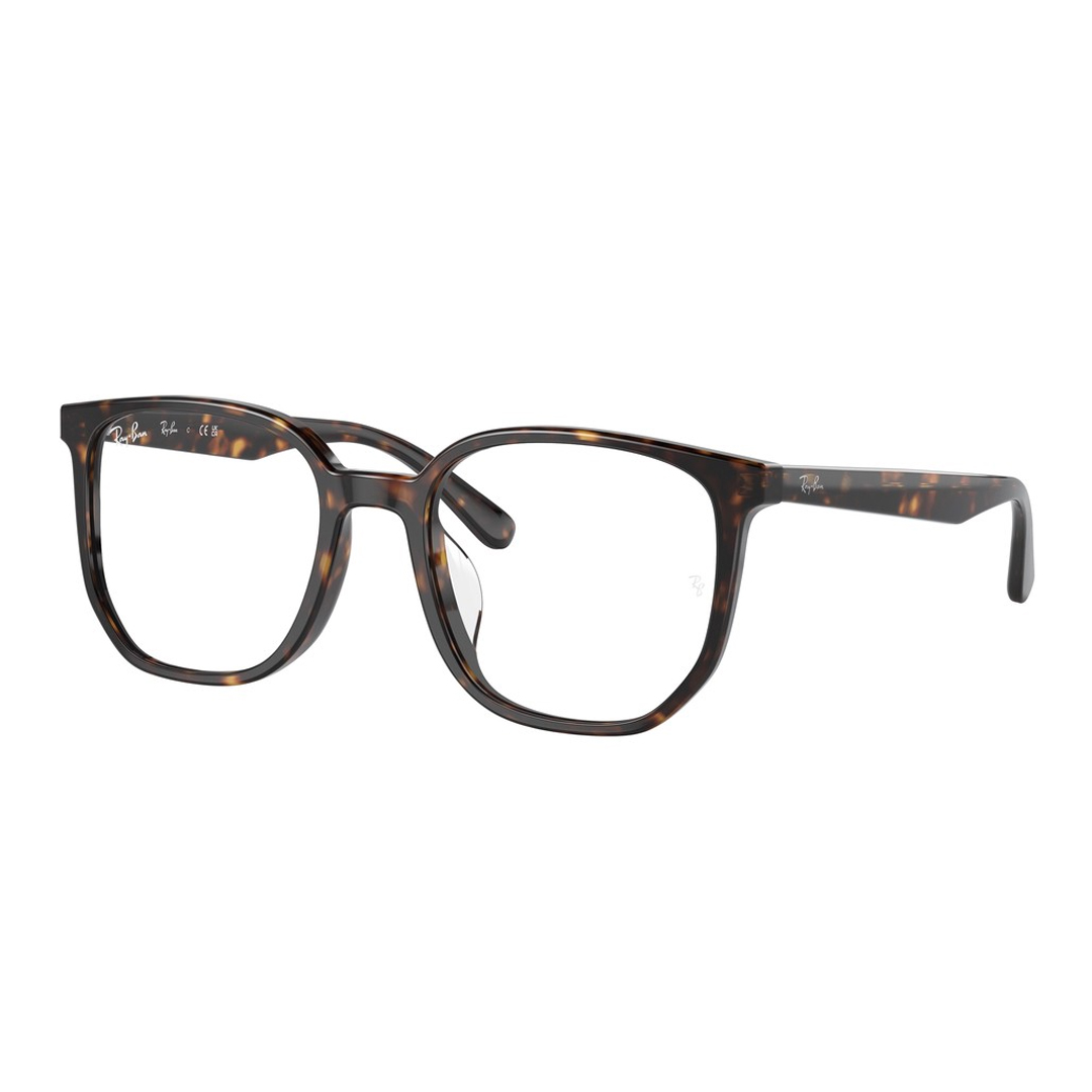 Оправы для очков Ray Ban RX5411D