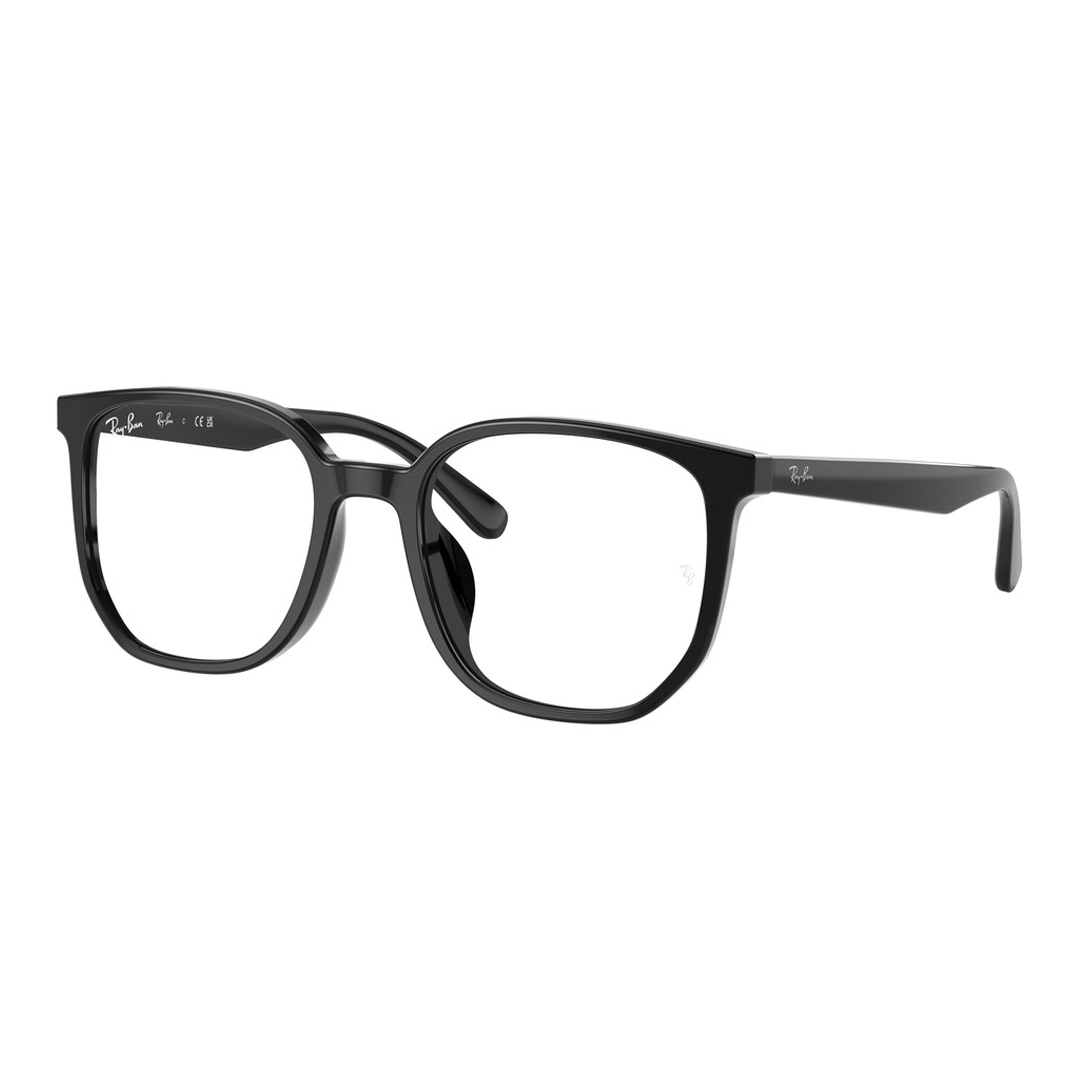 Оправы для очков Ray Ban RX5411D
