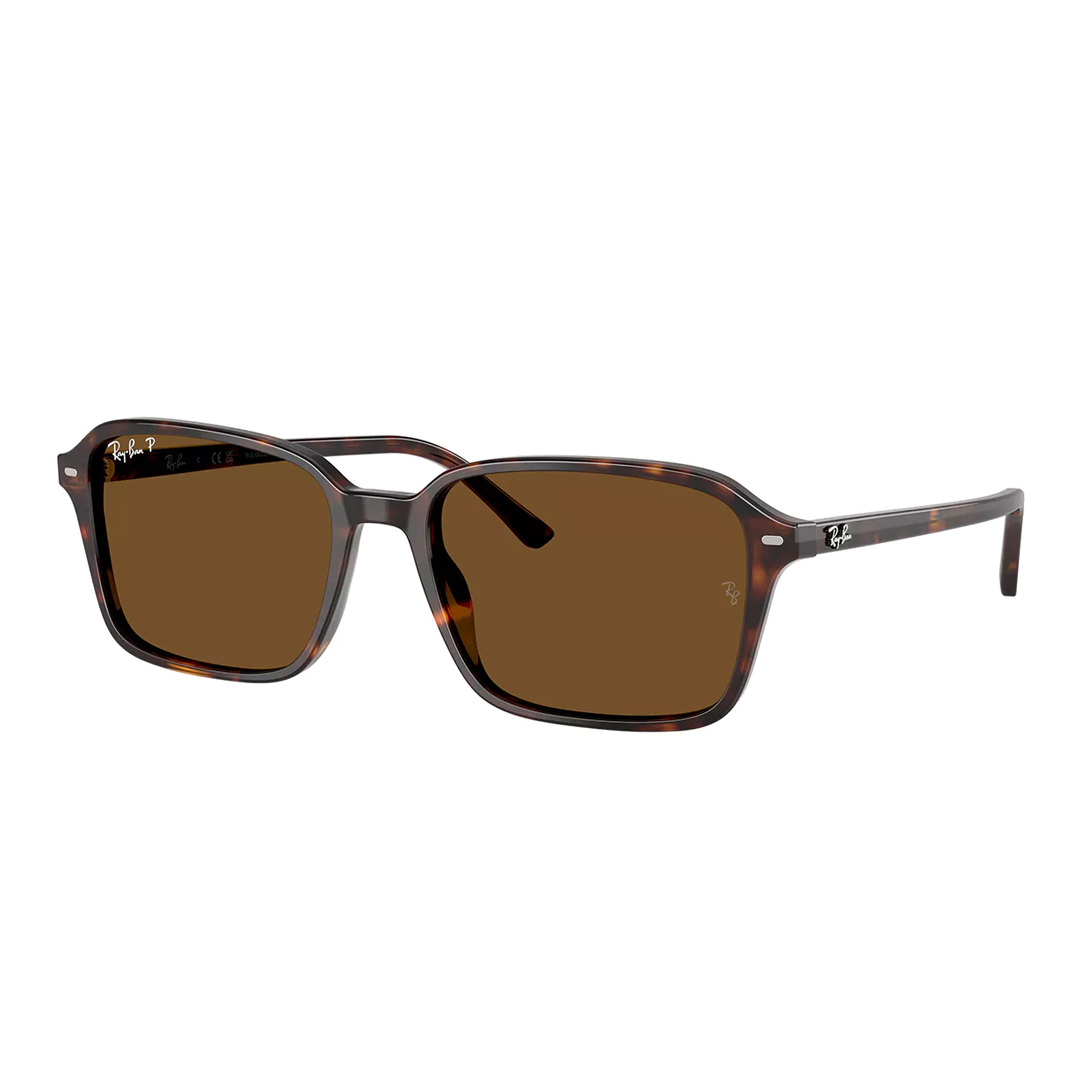 Солнцезащитные очки Ray Ban RB2231F