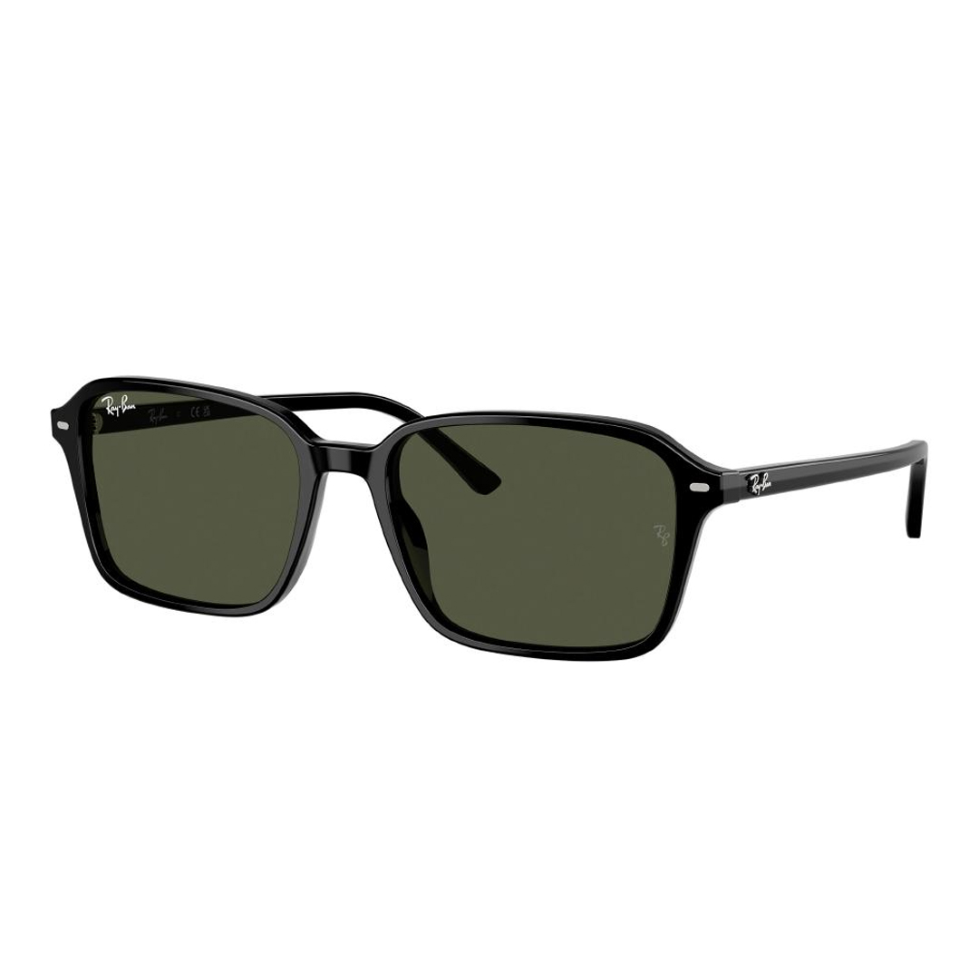 Солнцезащитные очки Ray Ban RB2231F