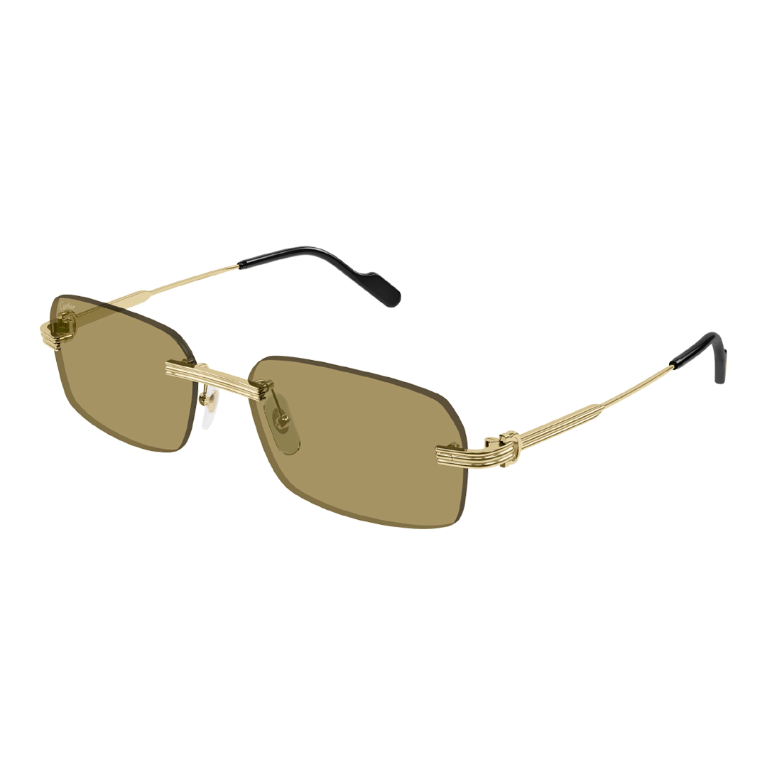 Солнцезащитные очки Cartier CT0271S